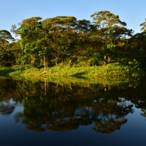 Japanese Garden & Canoe Ride
