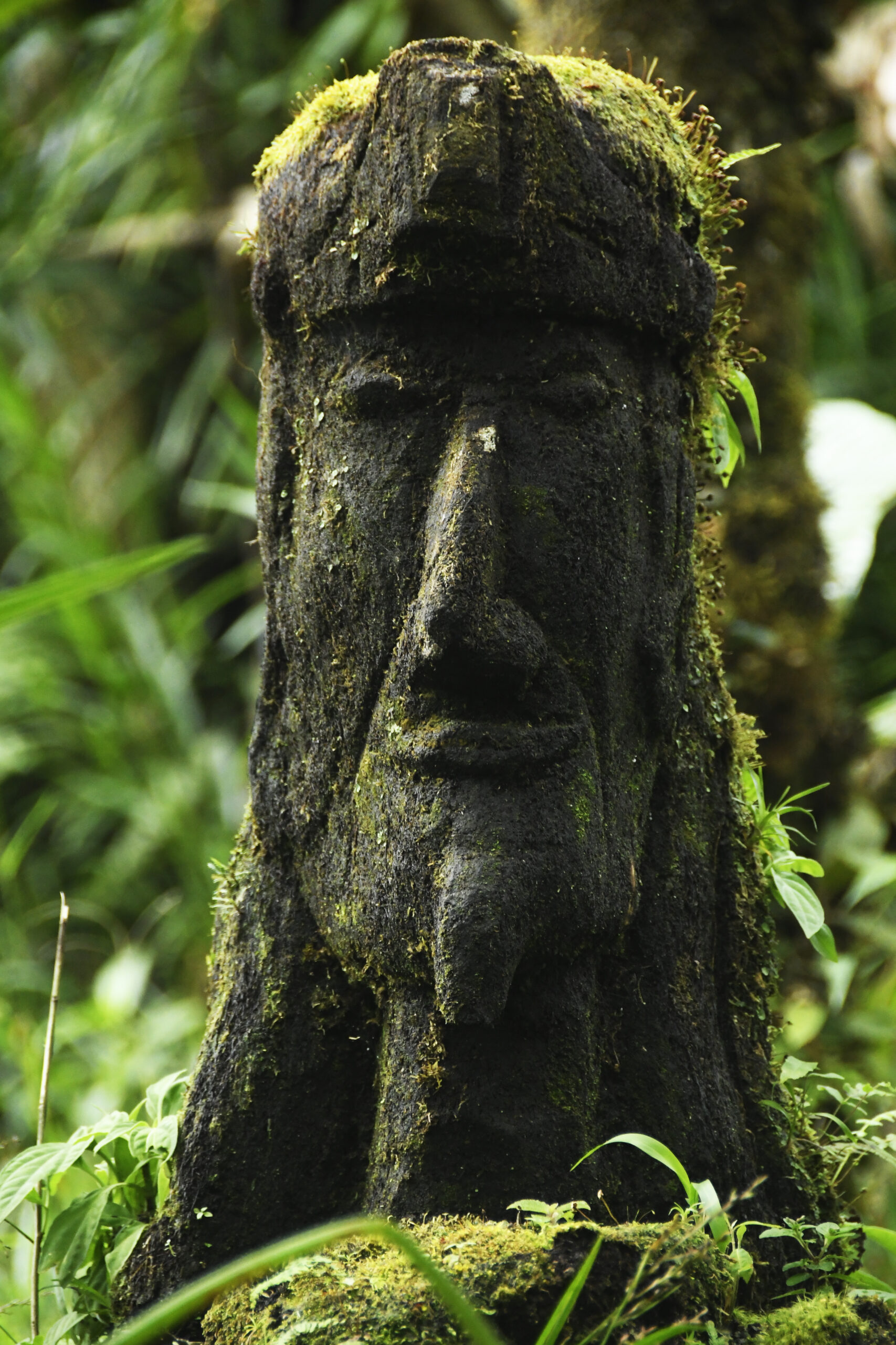 Guided Tours (2 hours, by reservation) - Image 5